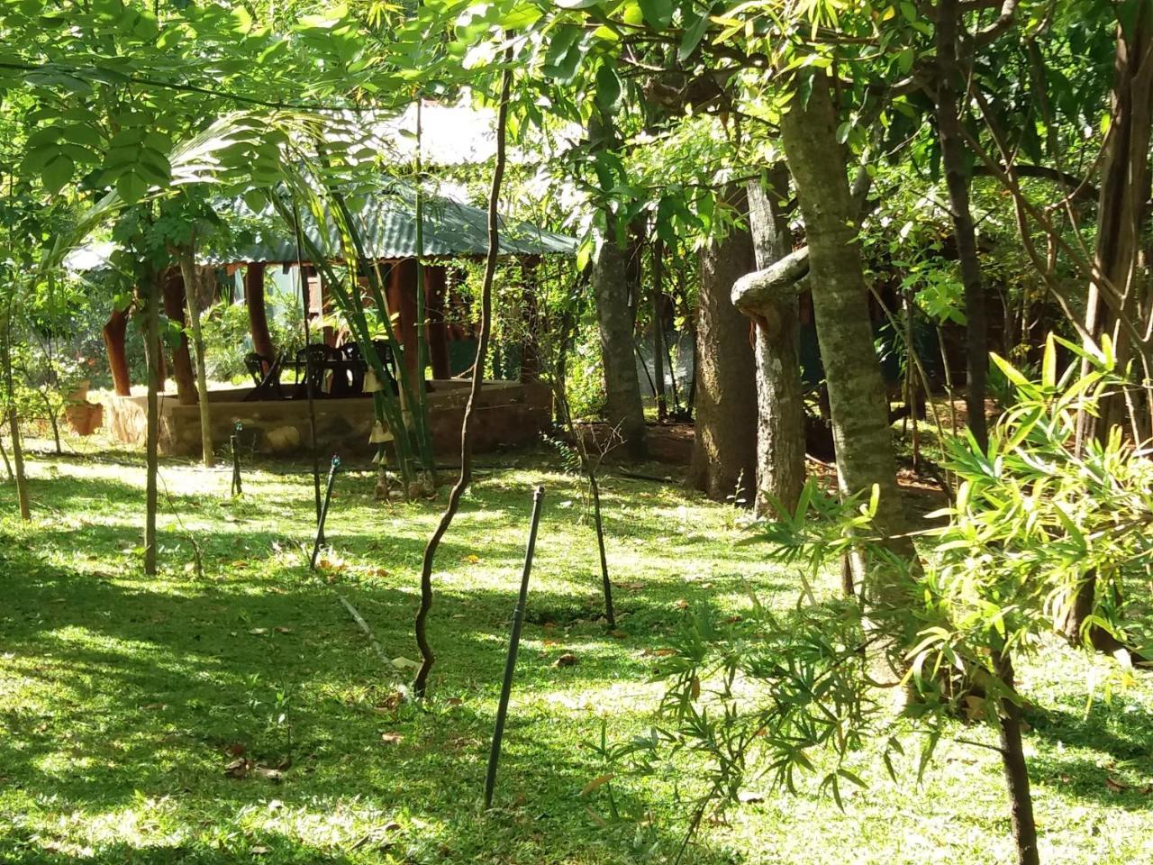Walawa Blue Sapphire Hotel Udawalawe Exterior photo